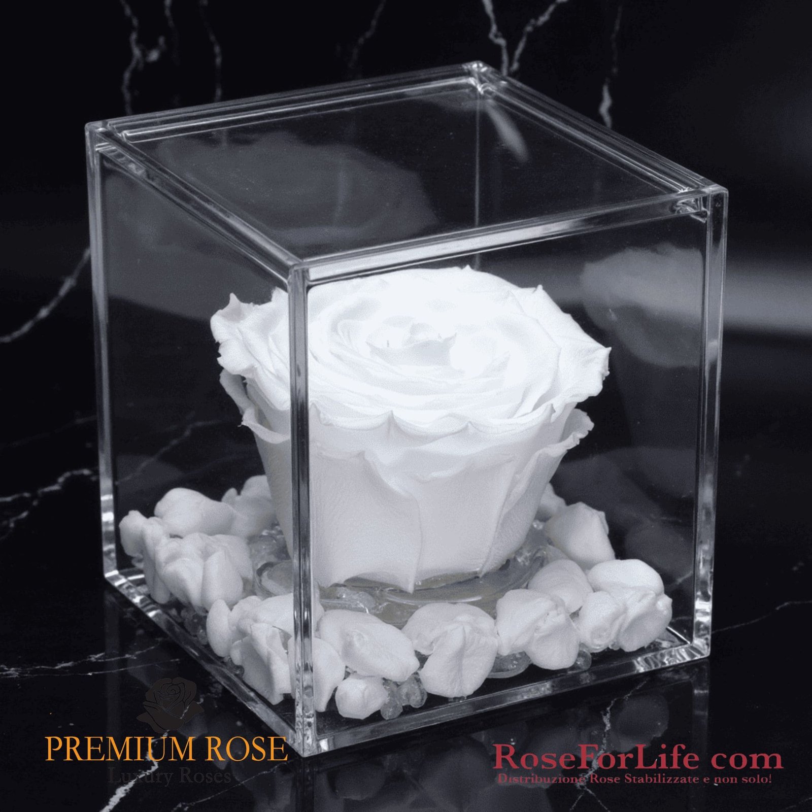 Rosa Eterna In Vetro Con Statuetta Angelo, Regalo Per Migliore Amica, Fiore Naturale Conservato, Decorazione Con Luce LED, Compleanno Fidanzata